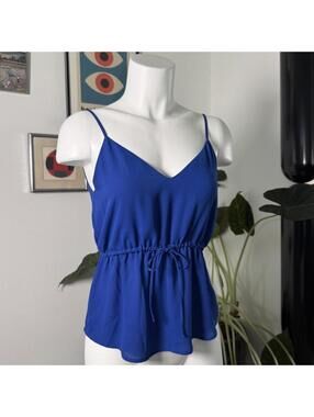 Aritzia Babaton Royal Blue Blouse